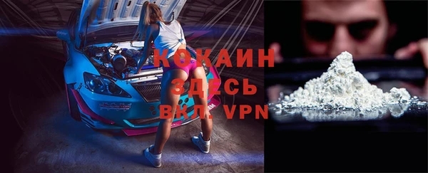 прущие грибы Володарск
