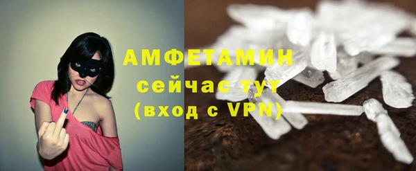 ГАЛЛЮЦИНОГЕННЫЕ ГРИБЫ Верея