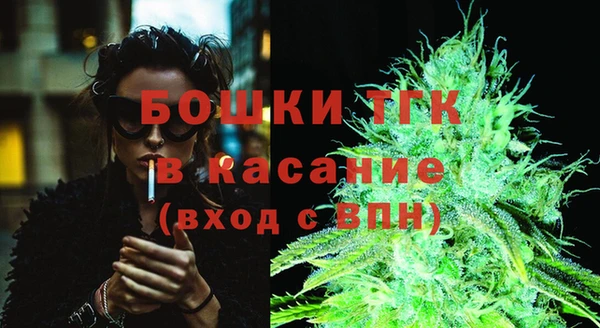 ГАЛЛЮЦИНОГЕННЫЕ ГРИБЫ Верея