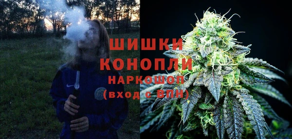 прущие грибы Володарск