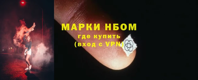 ГАЛЛЮЦИНОГЕННЫЕ ГРИБЫ Верея