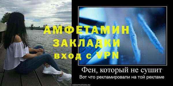 ГАЛЛЮЦИНОГЕННЫЕ ГРИБЫ Верея