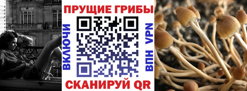 blacksprut маркетплейс купить наркотик Кущёвская Псилоцибиновые грибы MAGIC MUSHROOMS
